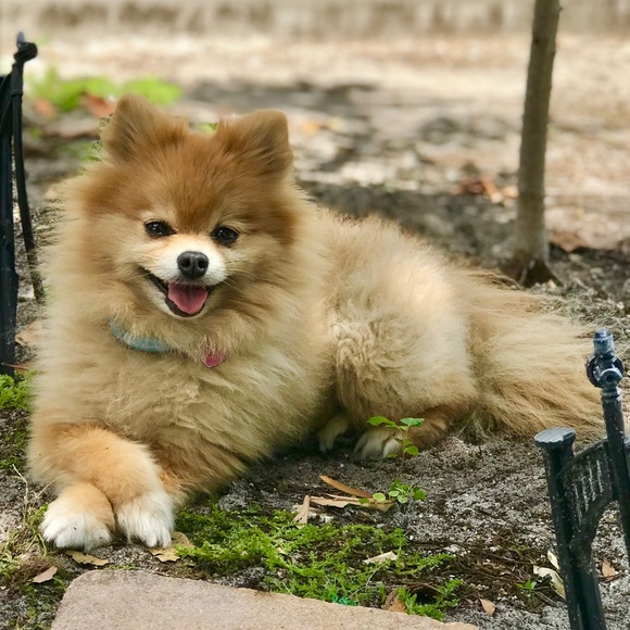 Meet your Posher! 🙋🏻♀️ - Picture 1 of 11